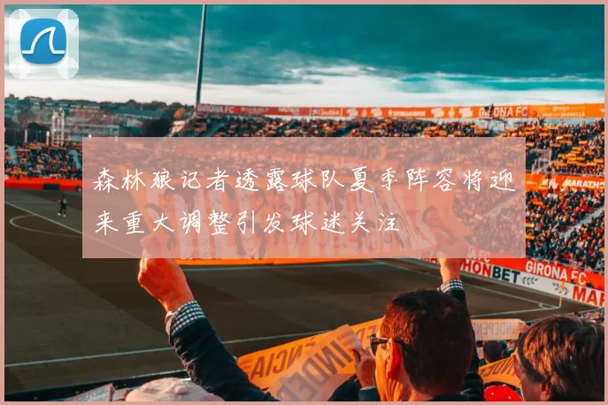森林狼记者透露球队夏季阵容将迎来重大调整引发球迷关注