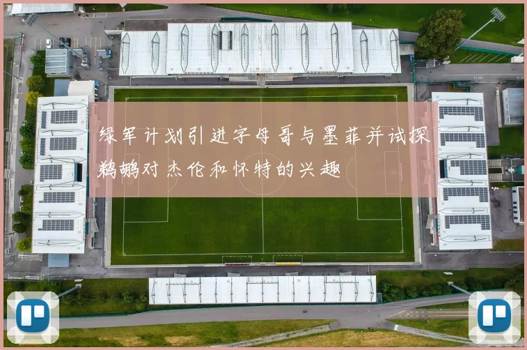 绿军计划引进字母哥与墨菲并试探鹈鹕对杰伦和怀特的兴趣
