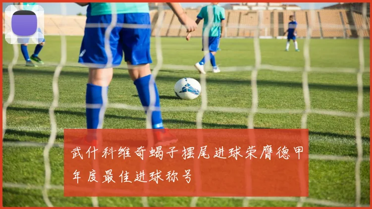 武什科维奇蝎子摆尾进球荣膺德甲年度最佳进球称号