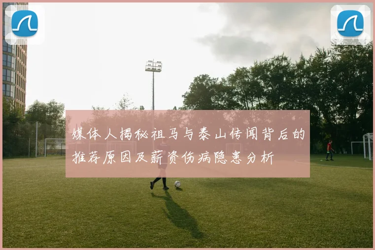 媒体人揭秘祖马与泰山传闻背后的推荐原因及薪资伤病隐患分析