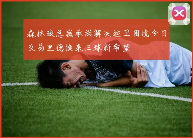 森林狼总裁承诺解决控卫困境今日交易里德换来三球新希望